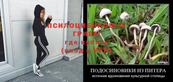гидропоника Алексеевка