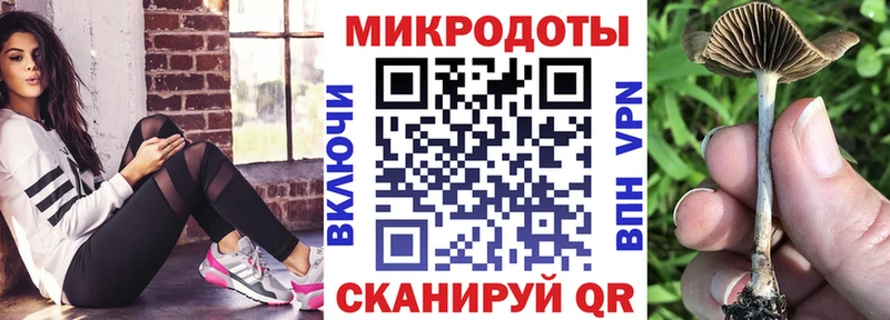 Псилоцибиновые грибы Psilocybine cubensis наркота Осташков
